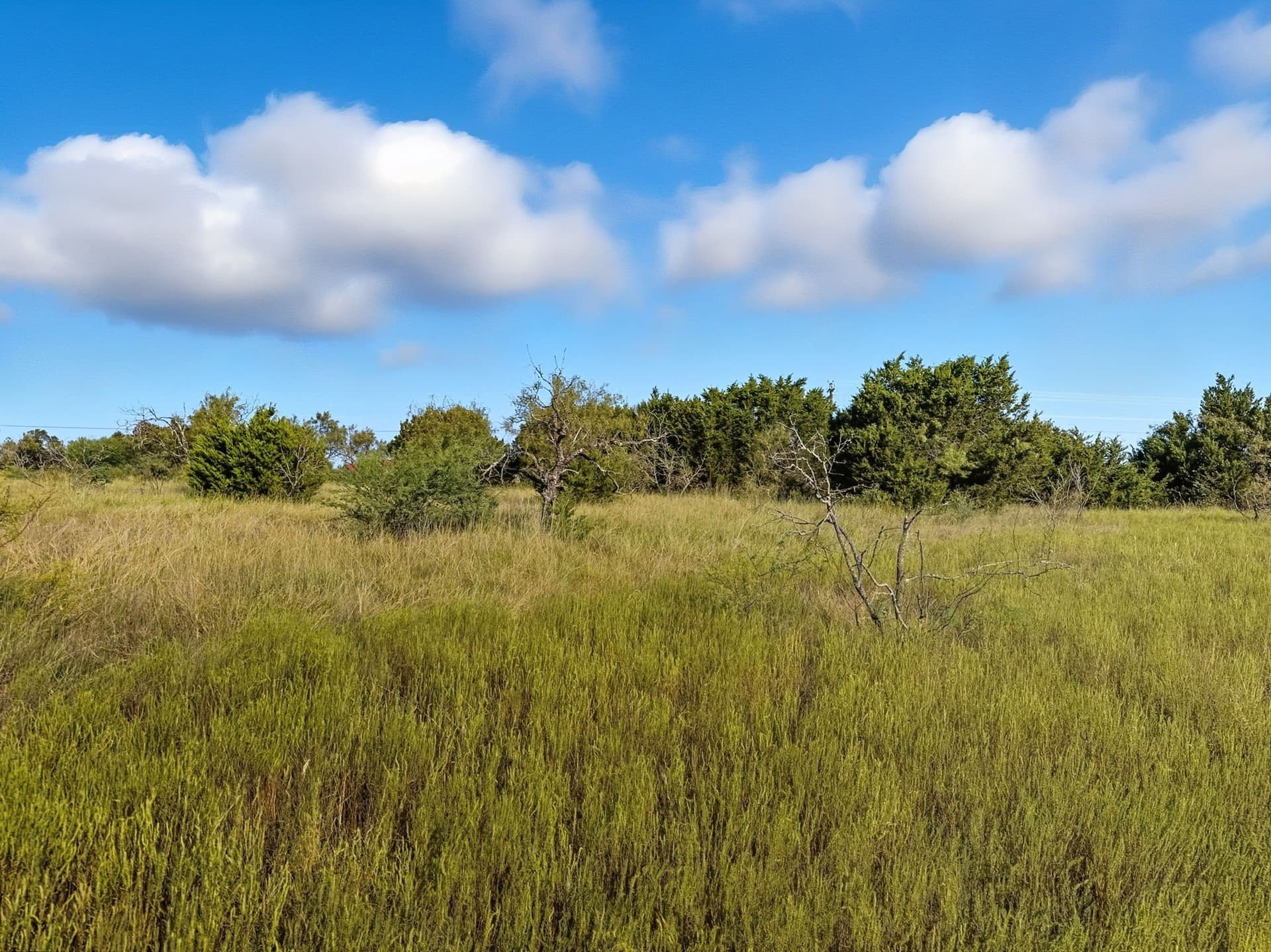 10.01 acres in Hamilton County - photo 9