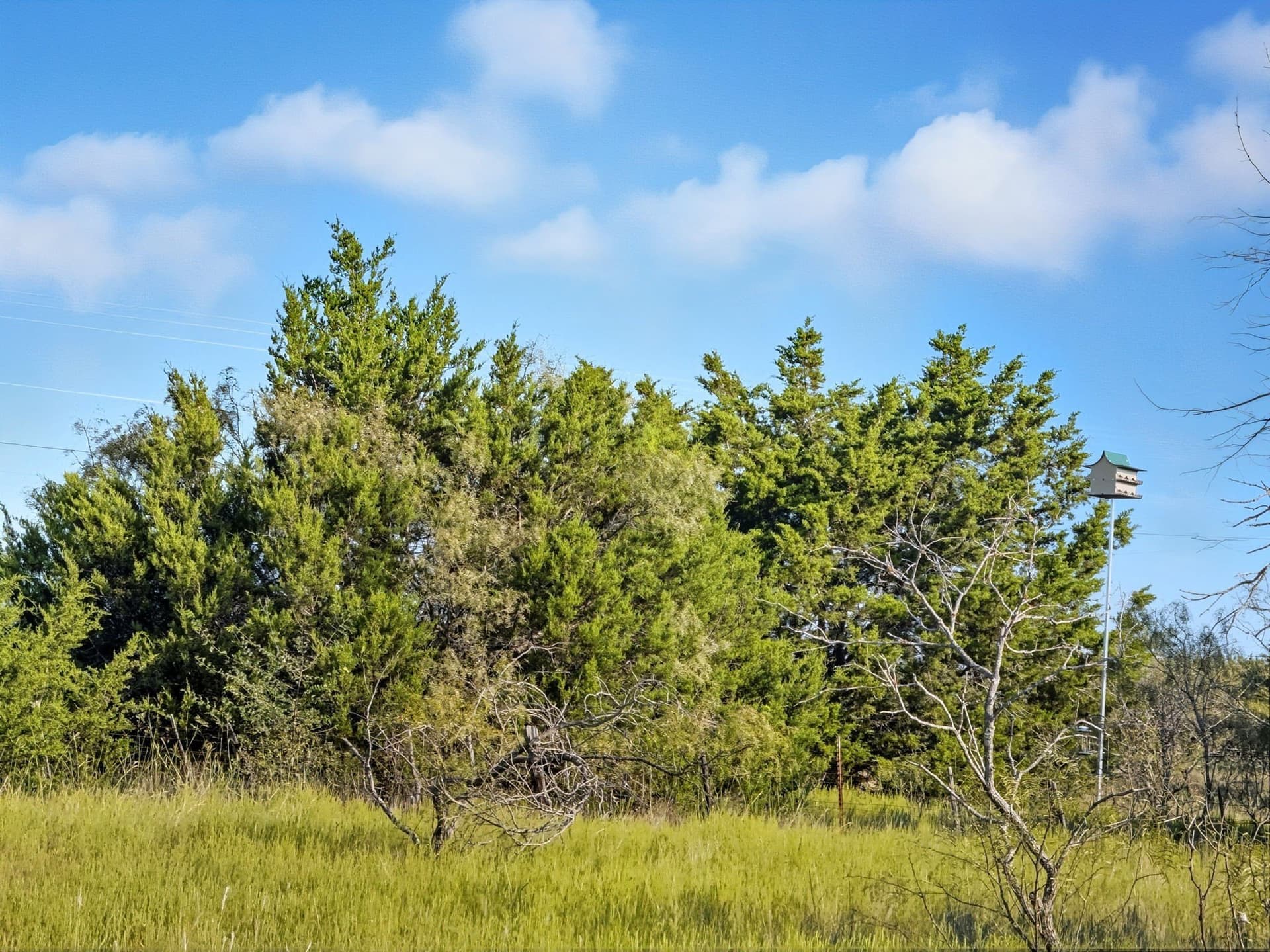 10.01 acres in Hamilton County - photo 8