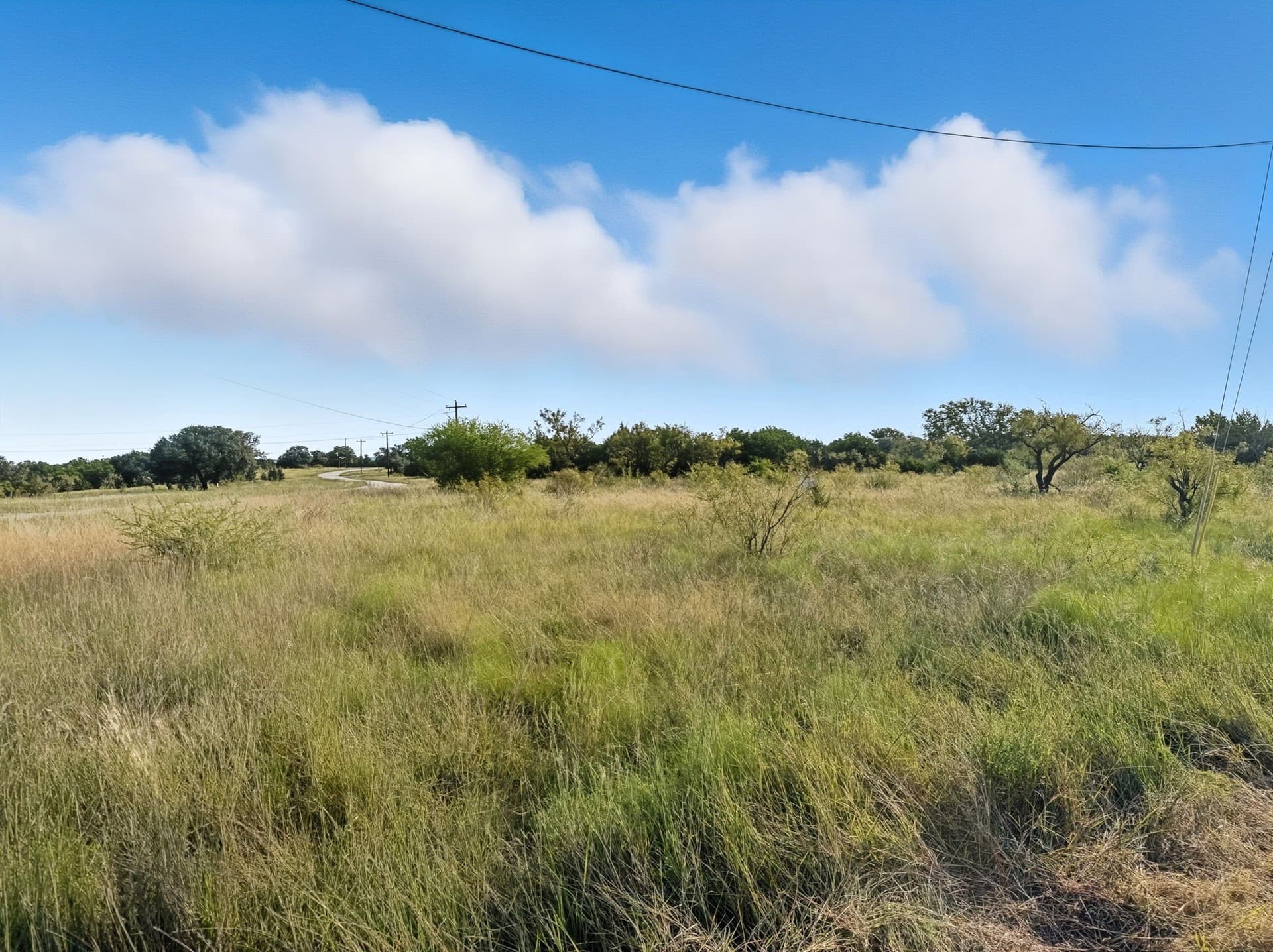 10.01 acres in Hamilton County gallery image 2