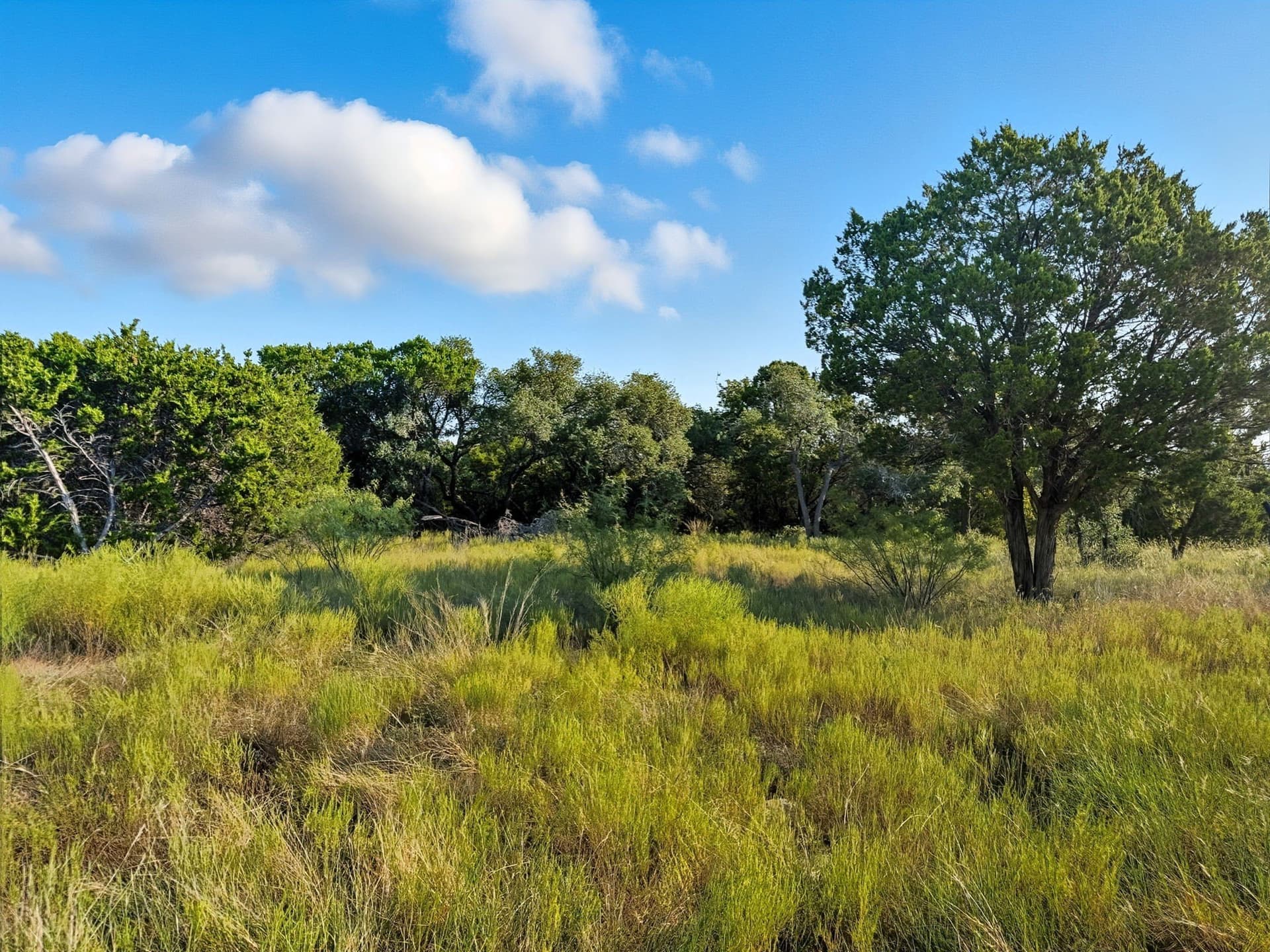 10.01 acres in Hamilton County featured view