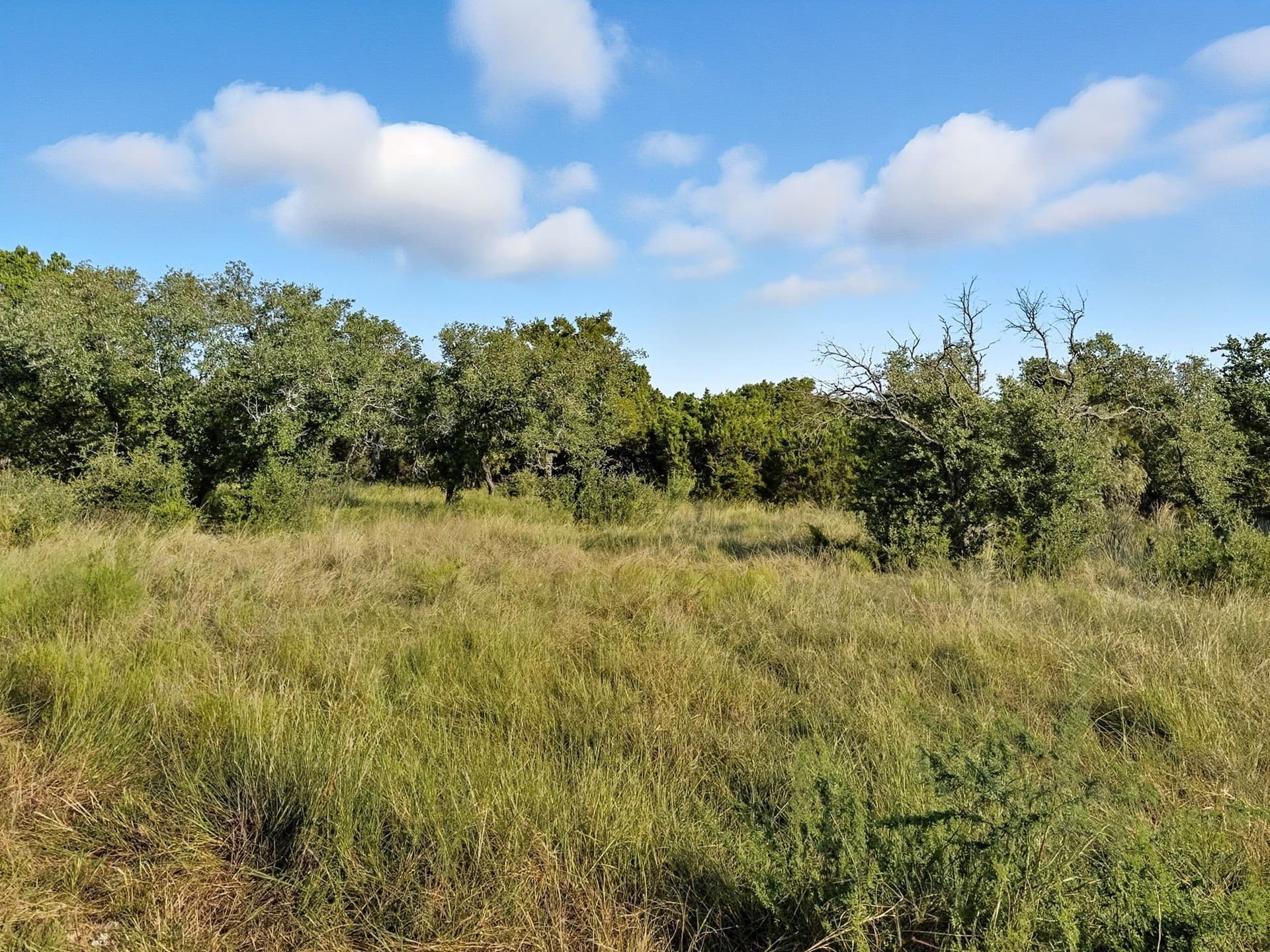 10.01 acres in Hamilton County - photo 12