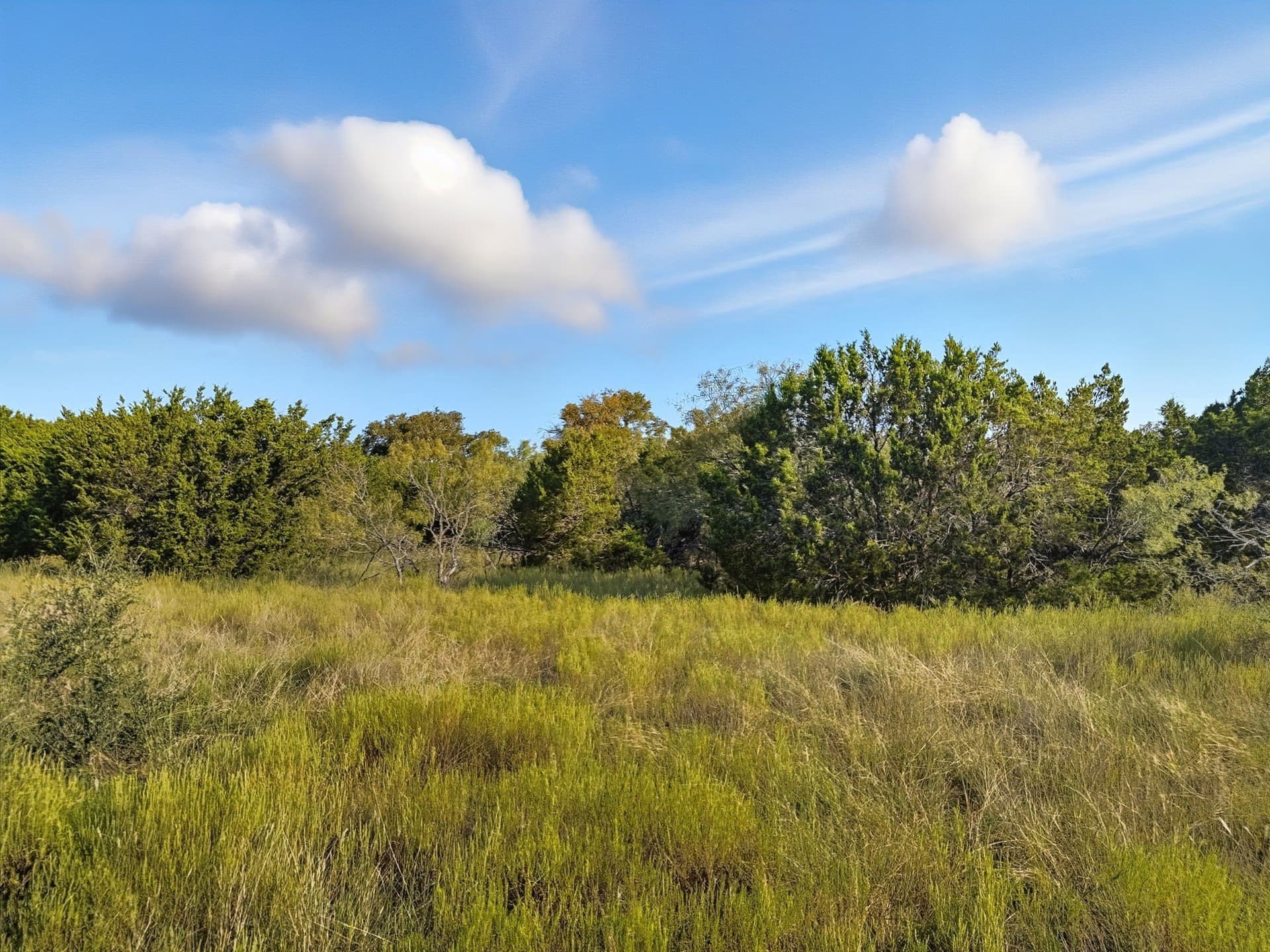 10.01 acres in Hamilton County - photo 11