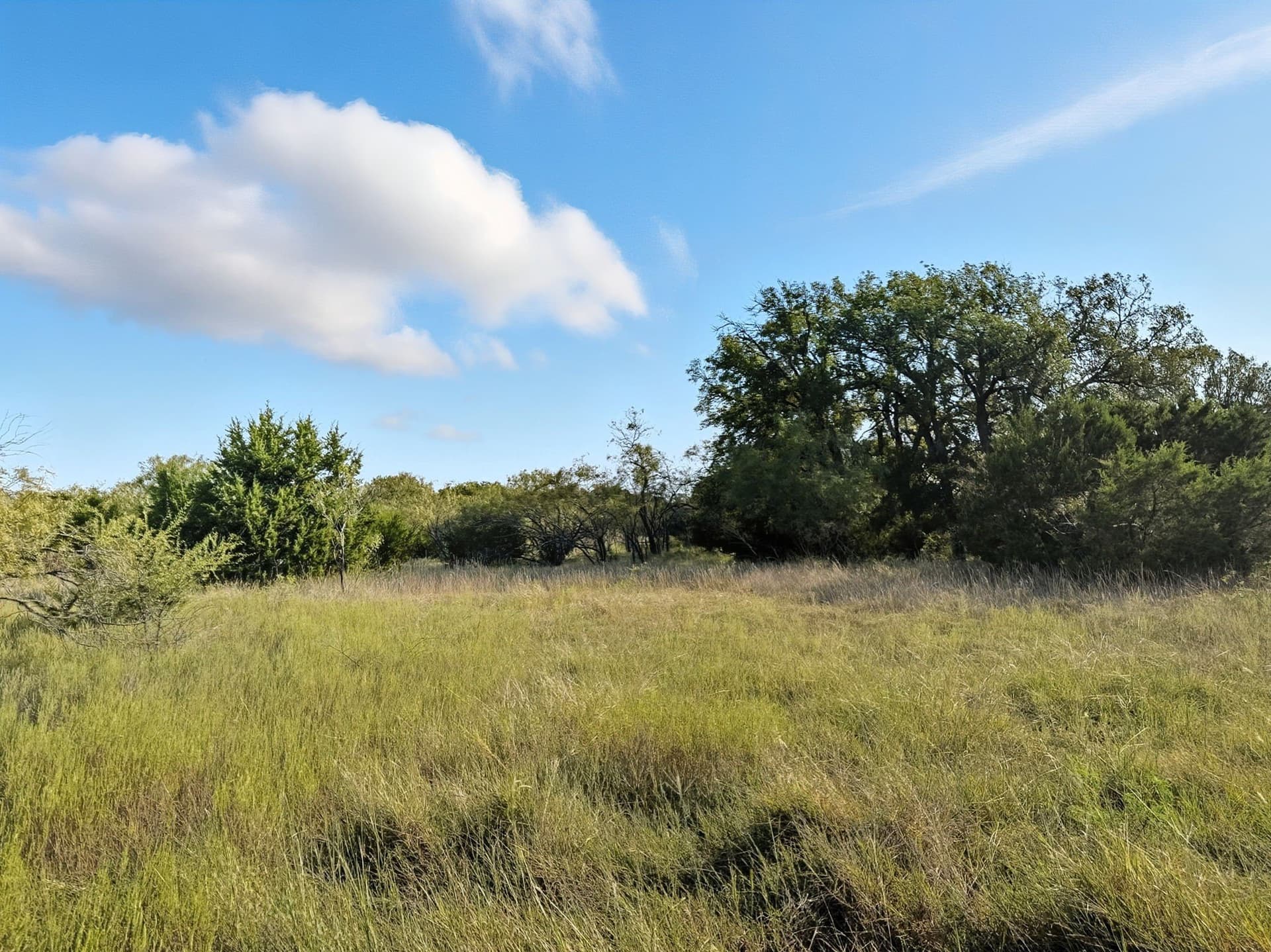 10.01 acres in Hamilton County - photo 10