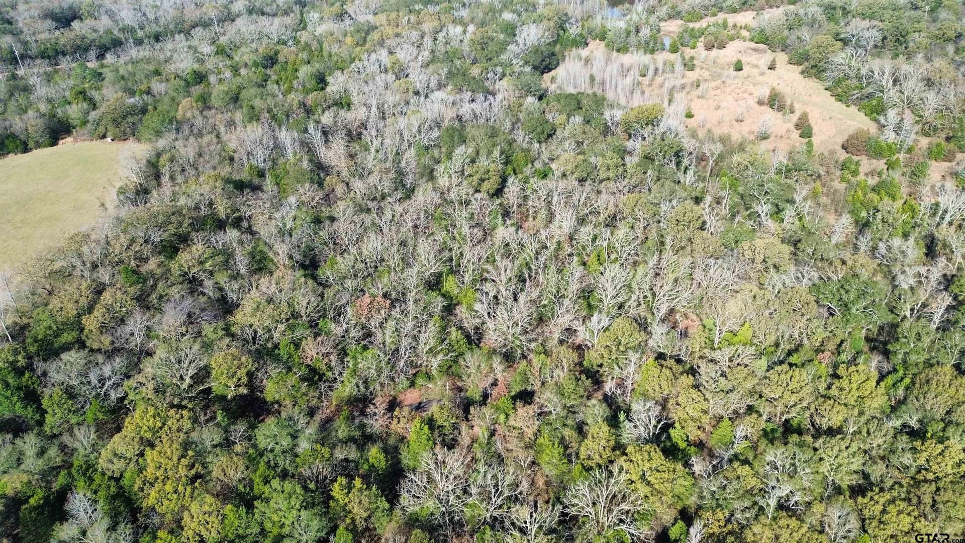 3.92 acres in Van Zandt County - photo 3