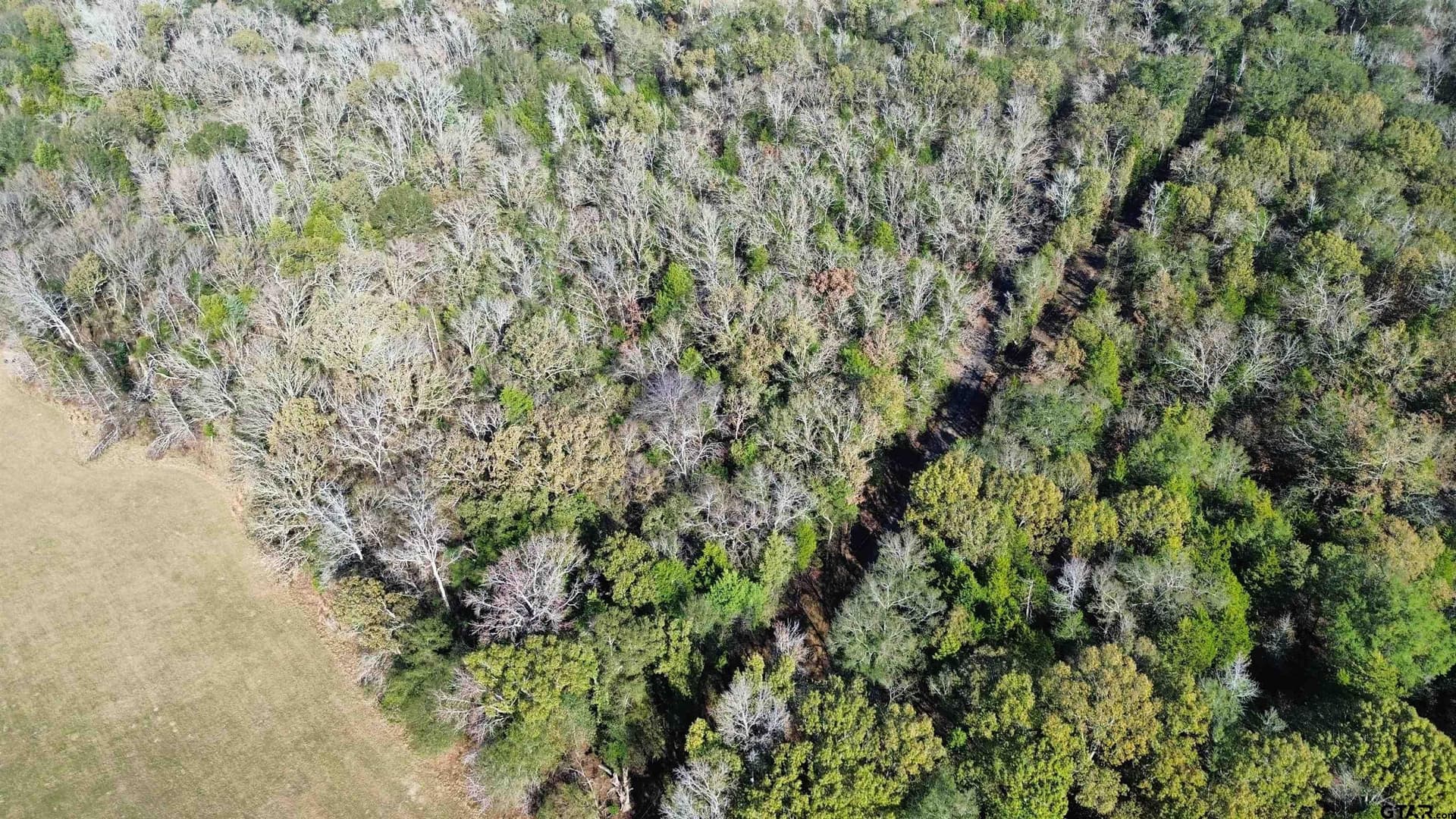 3.92 acres in Van Zandt County - photo 13