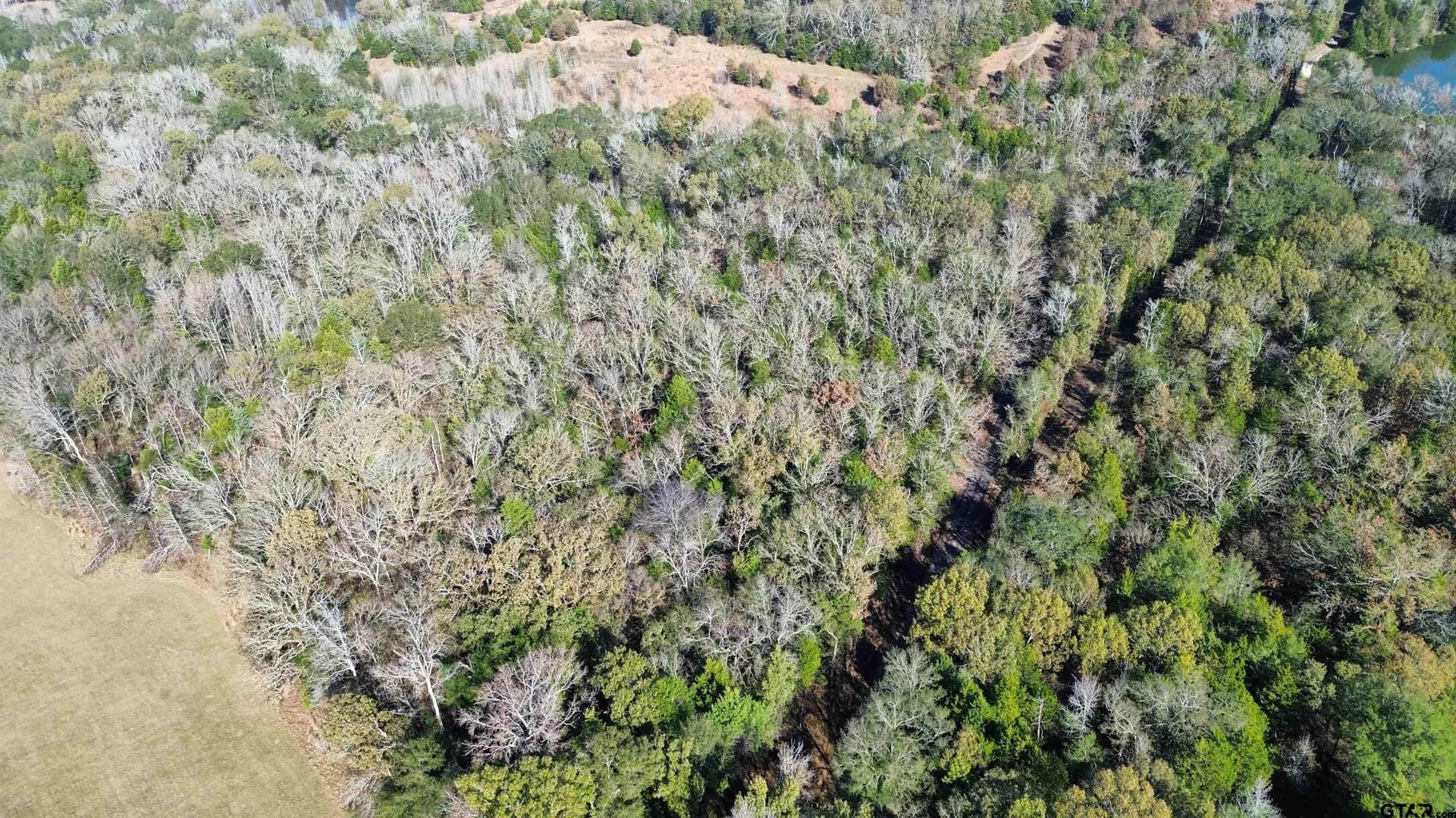 3.92 acres in Van Zandt County - photo 12