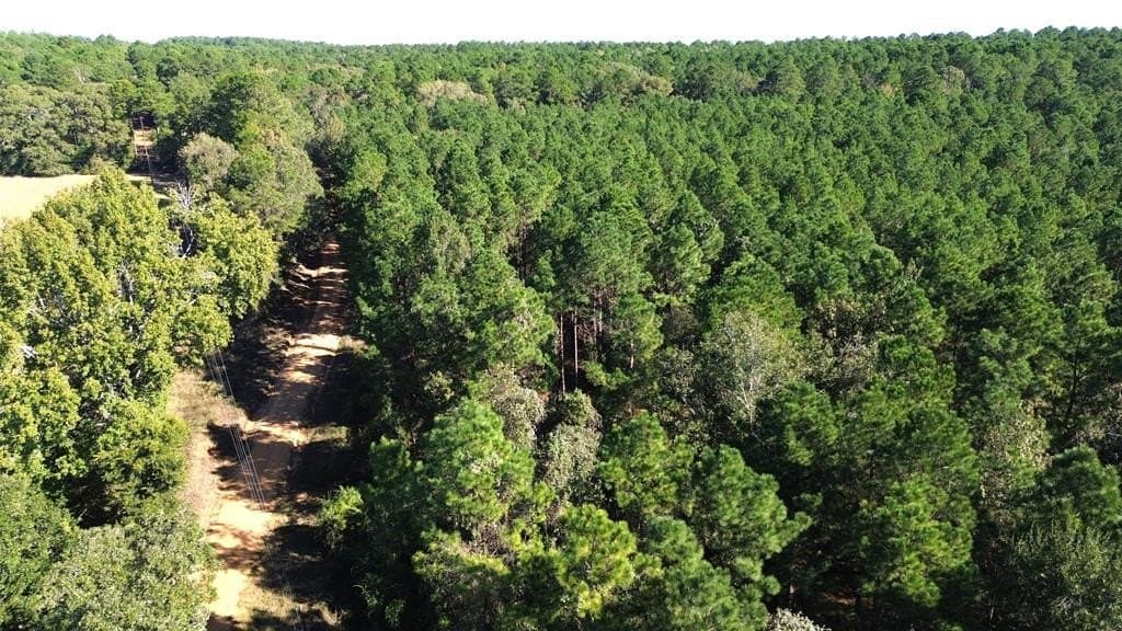 23.31 acres in Texas County gallery image 2