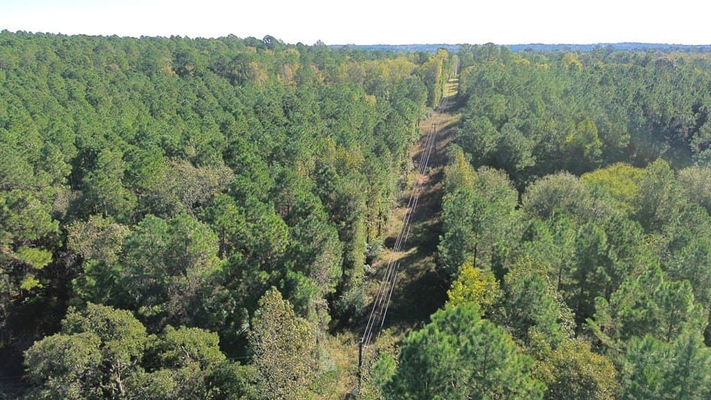 23.31 acres in Texas County gallery image 4