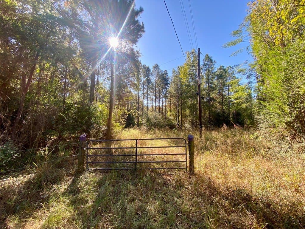 23.31 acres in Texas County gallery image 3