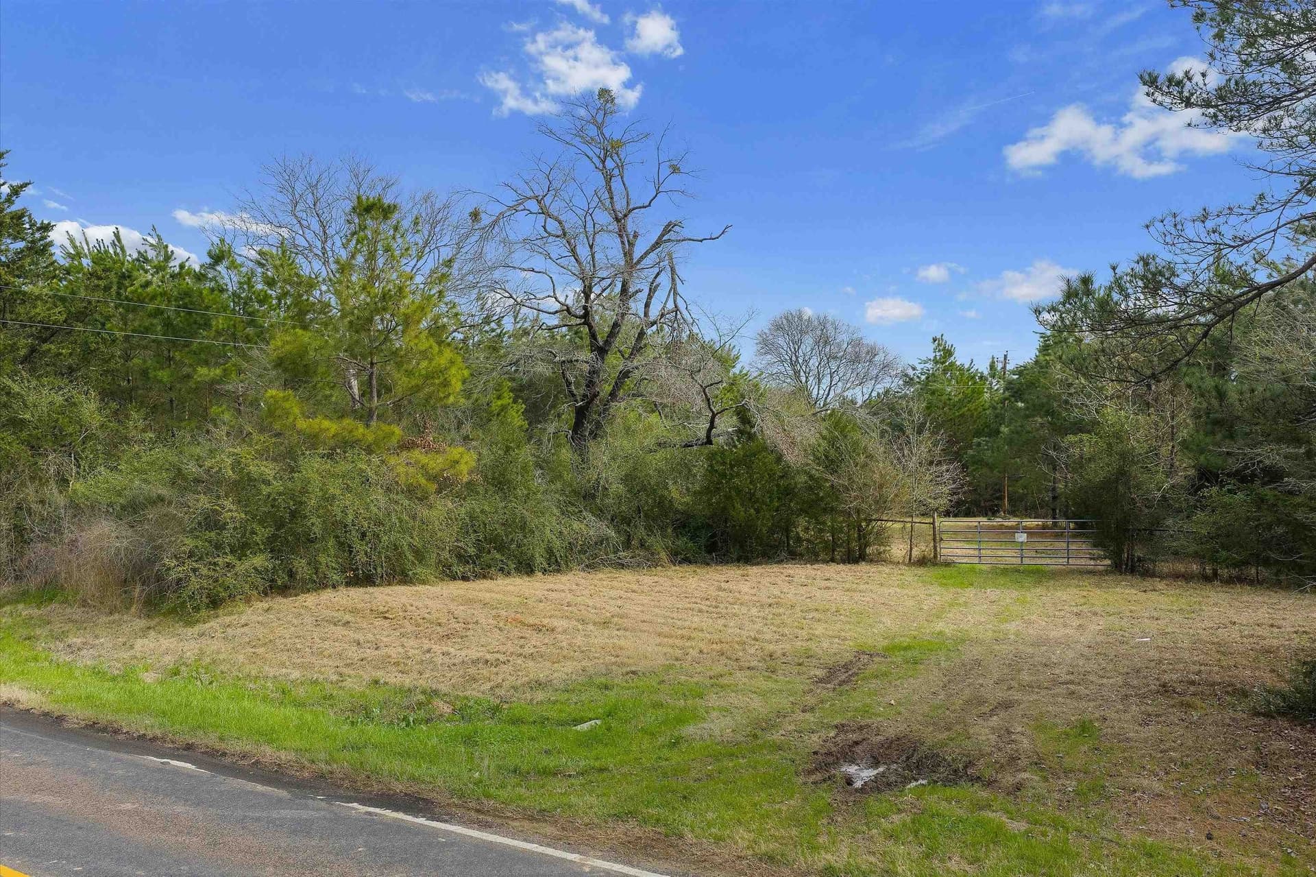 60 acres in Shelby County