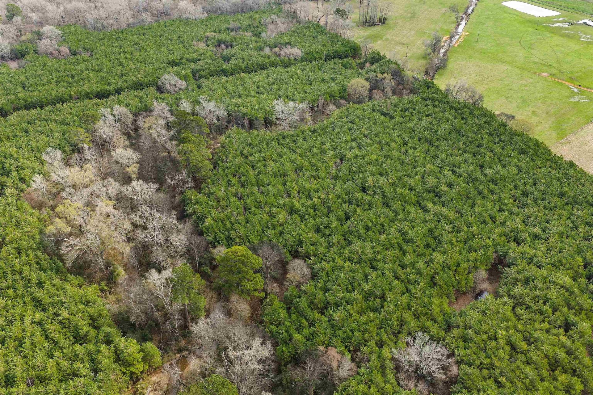 60 acres in Shelby County - photo 6