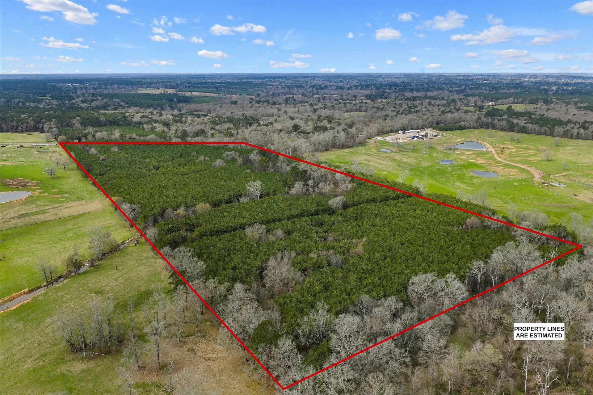 60 acres in Shelby County - photo 7