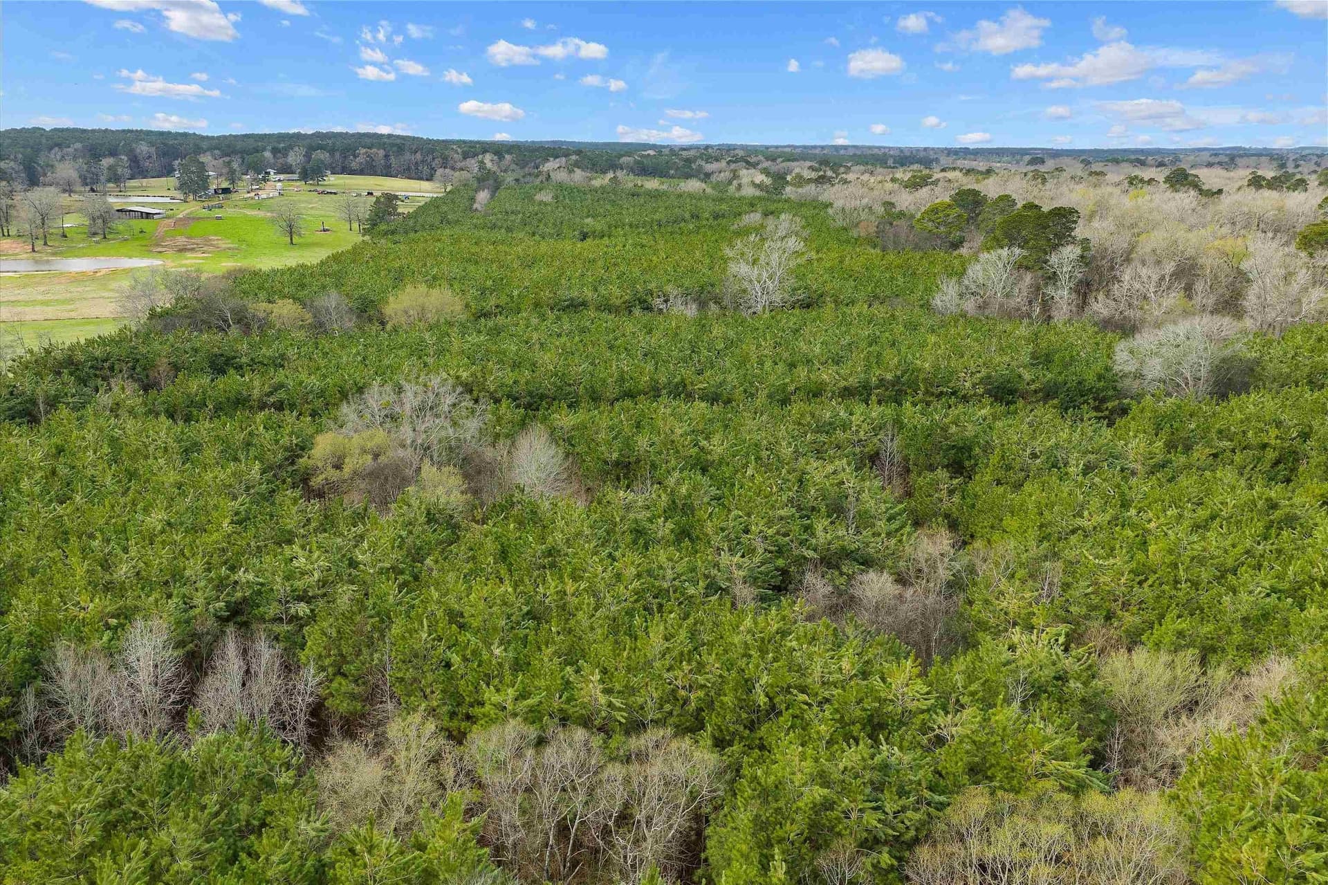 60 acres in Shelby County - photo 9