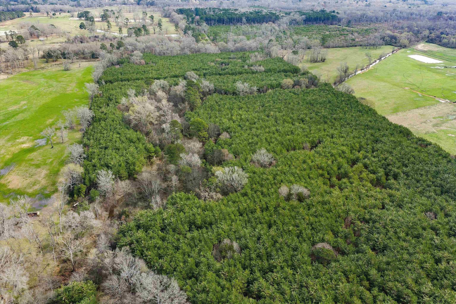 60 acres in Shelby County - photo 5