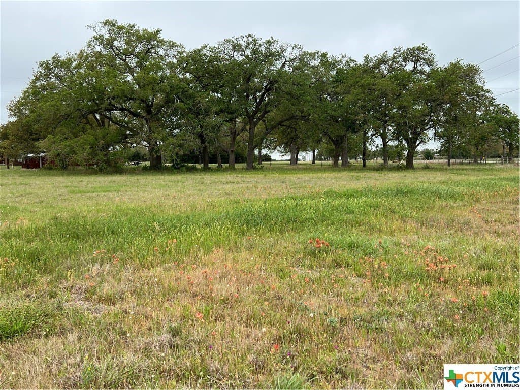 1.12 acres in Lavaca County gallery image 4