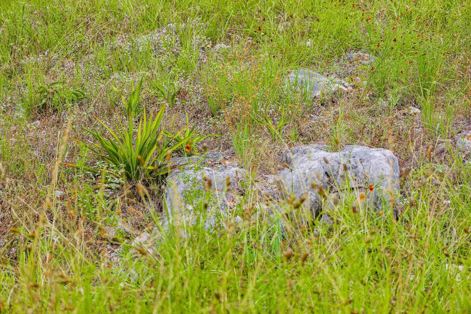 0.44 acres in Llano County - photo 26