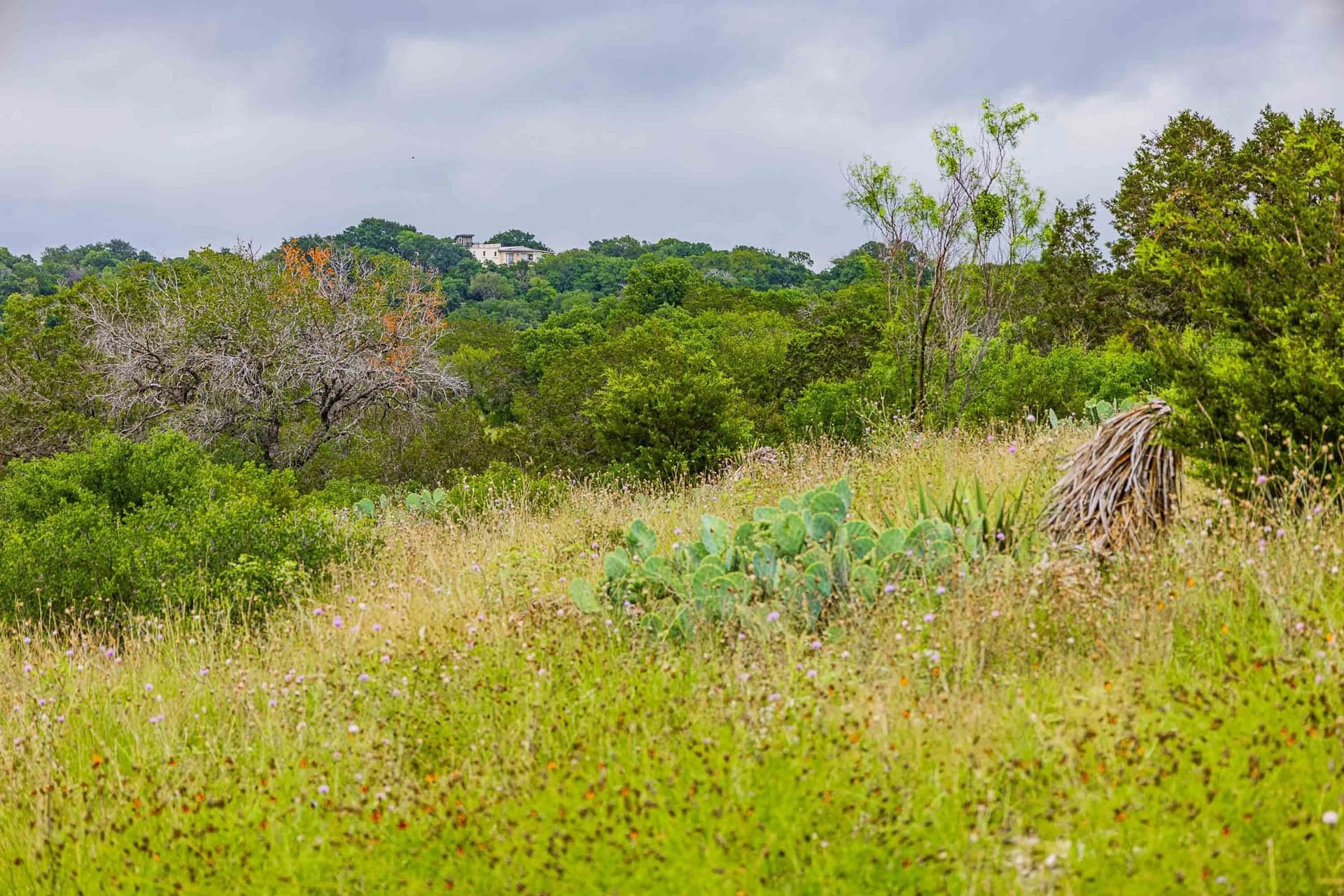 0.44 acres in Llano County - photo 27