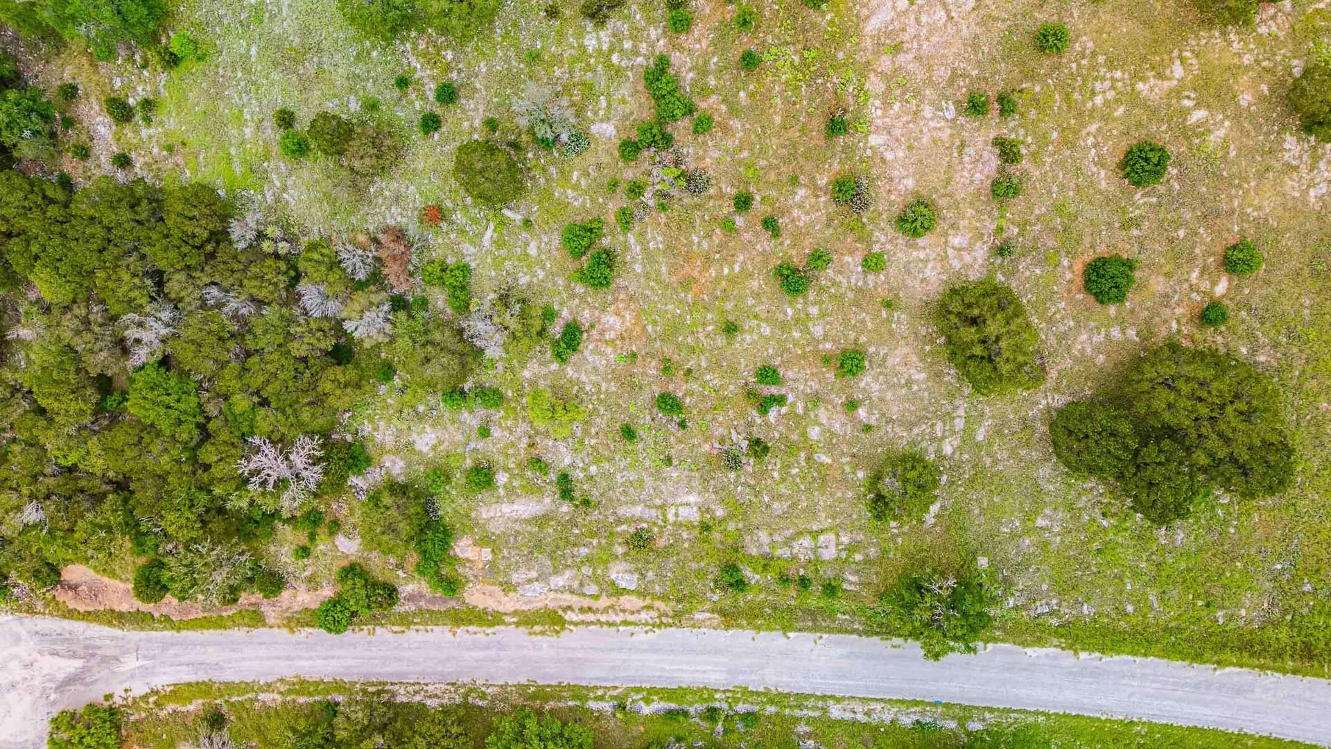 0.44 acres in Llano County - photo 18