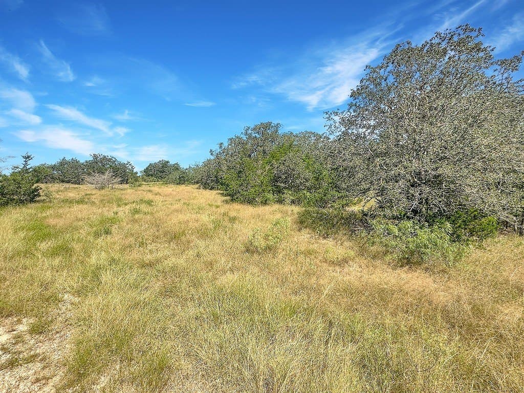 45.95 acres in Fayette County - photo 19