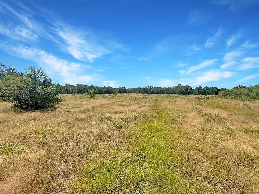 45.95 acres in Fayette County - photo 10