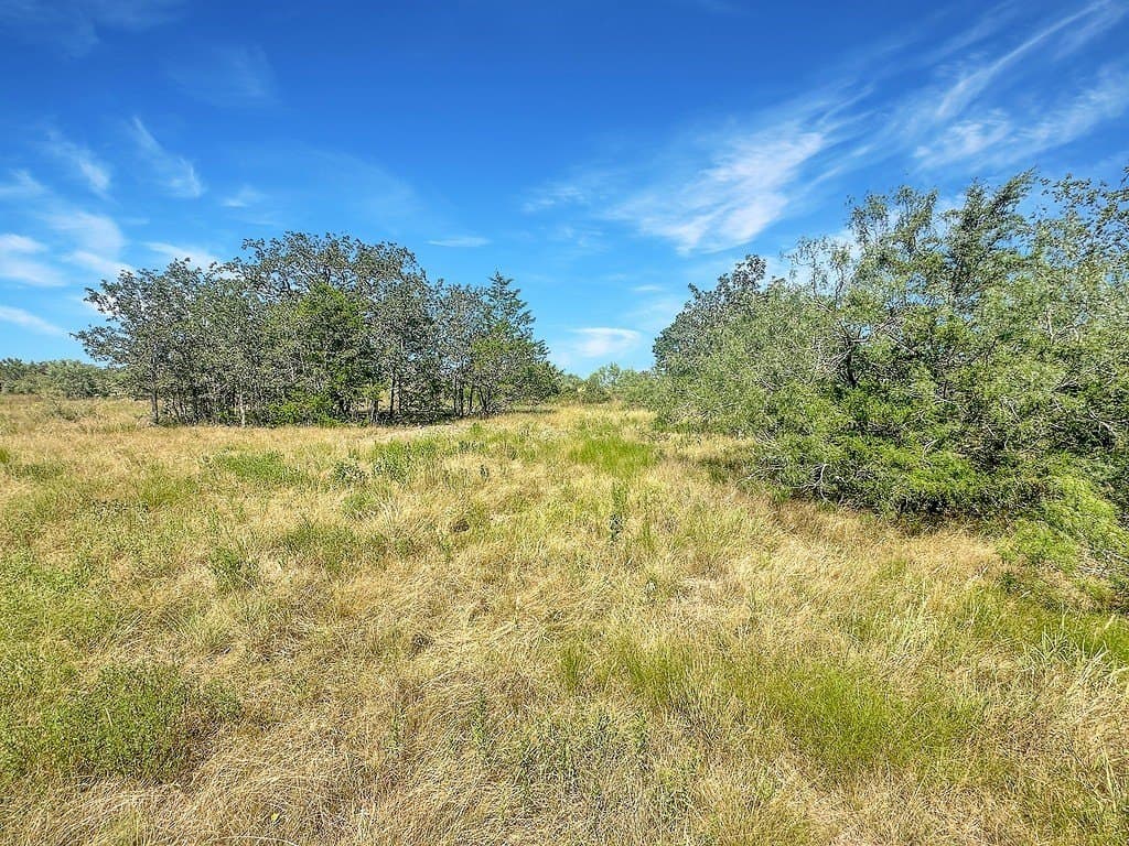 45.95 acres in Fayette County - photo 20