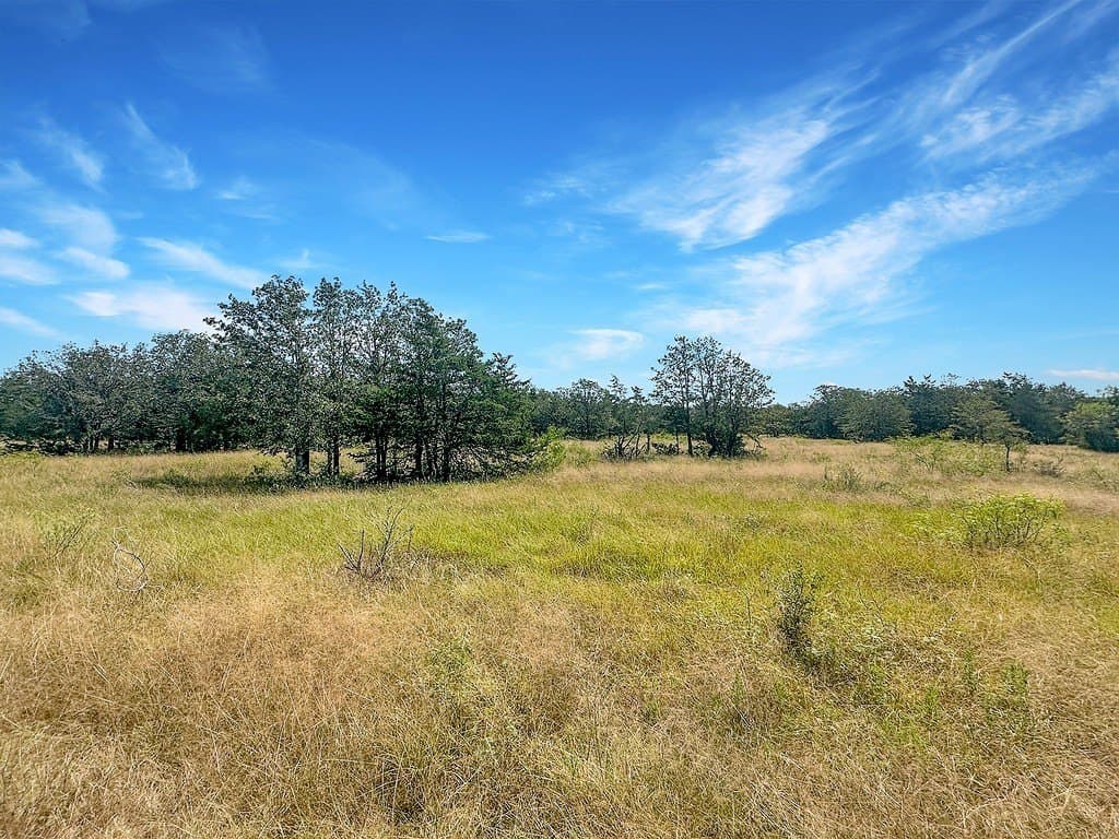45.95 acres in Fayette County - photo 12