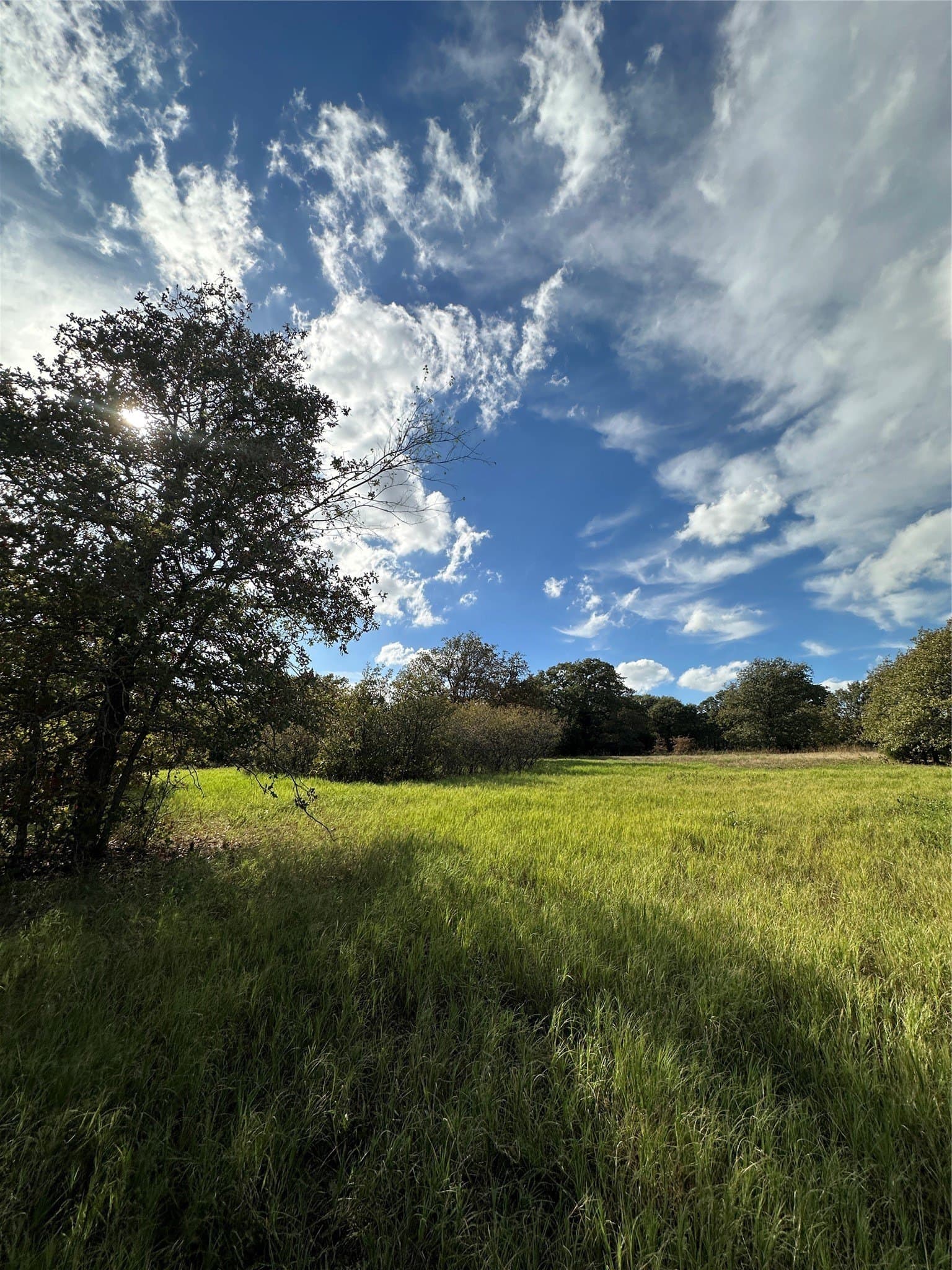 5 acres in Montague County