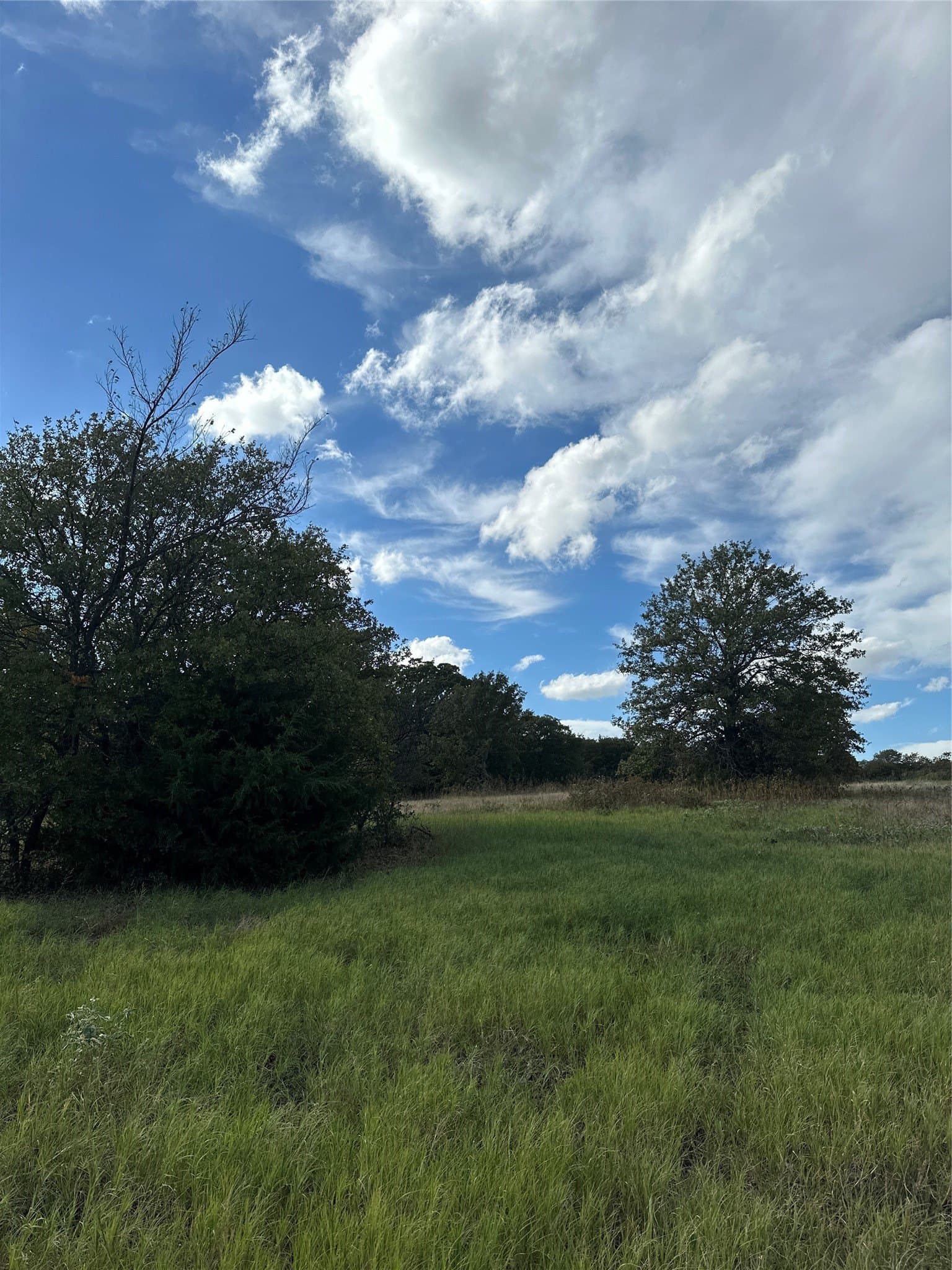 5 acres in Montague County - photo 2