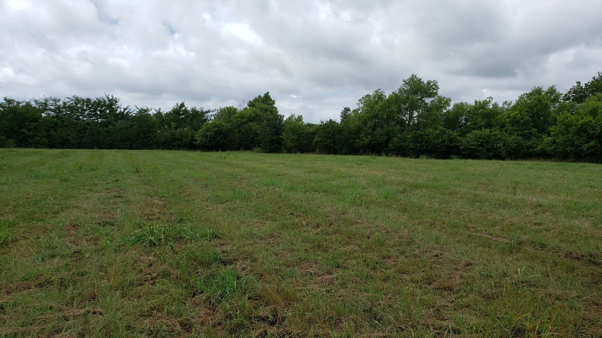 1.64 acres in Palo Pinto County gallery image 4