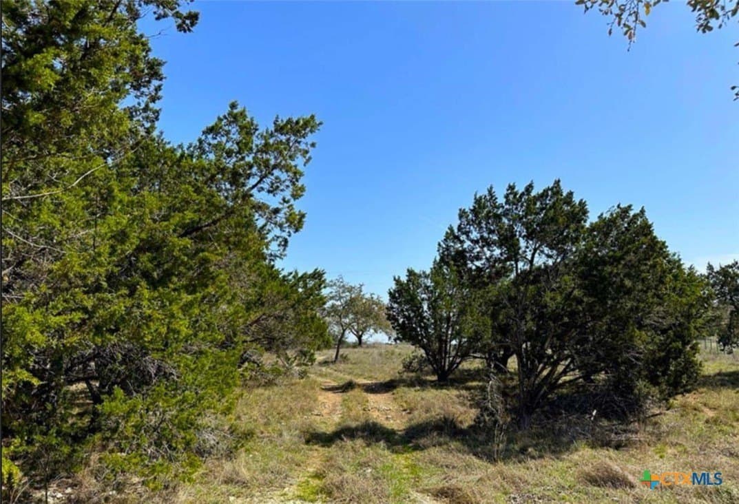 6.61 acres in Comal County gallery image 3
