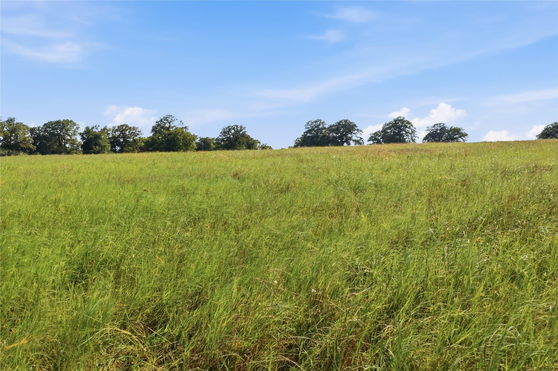 16.36 acres in Parker County - photo 5