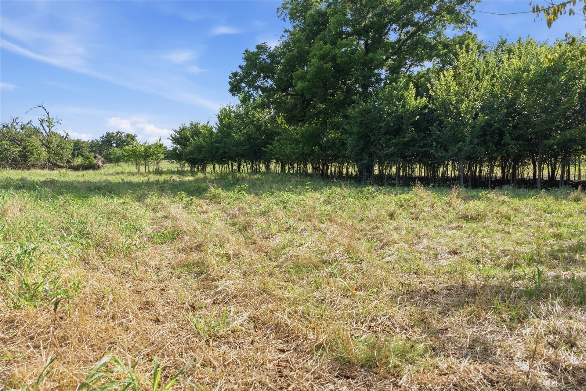 16.36 acres in Parker County - photo 7