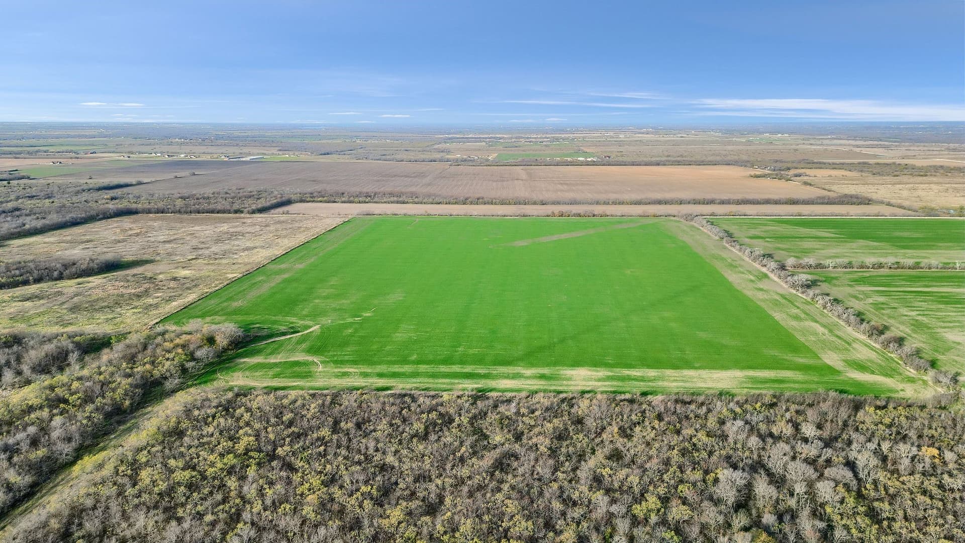 65 acres in Grayson County - photo 5