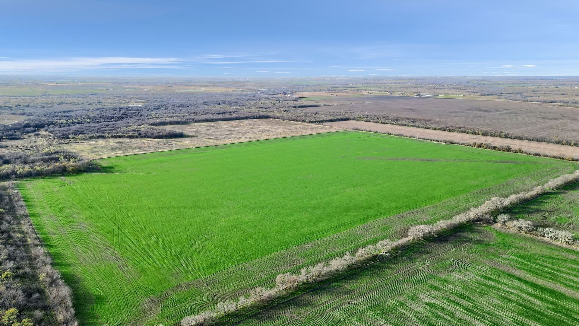 65 acres in Grayson County - photo 4