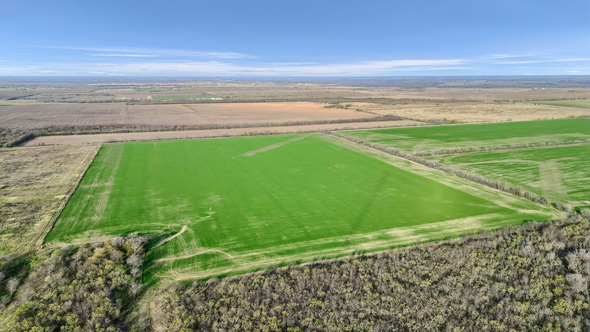 65 acres in Grayson County - photo 8