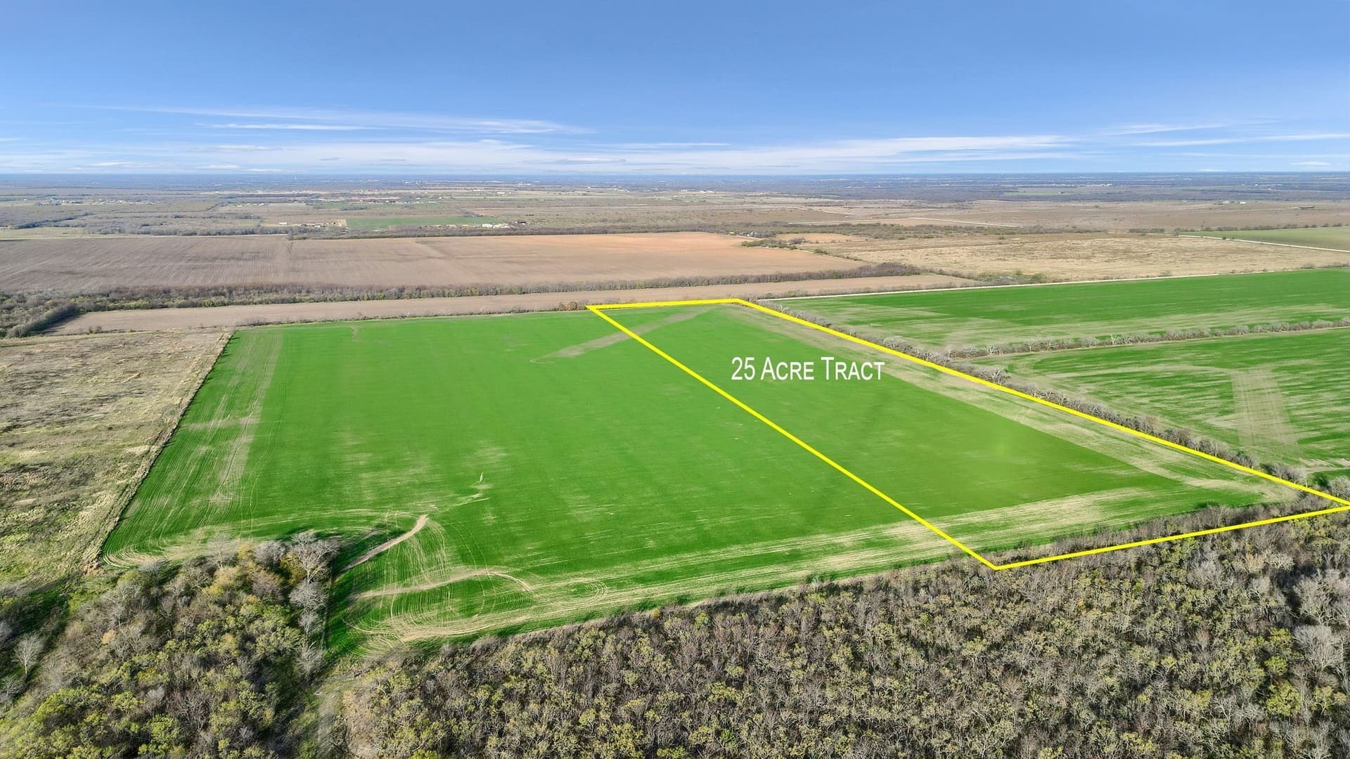 65 acres in Grayson County - photo 9
