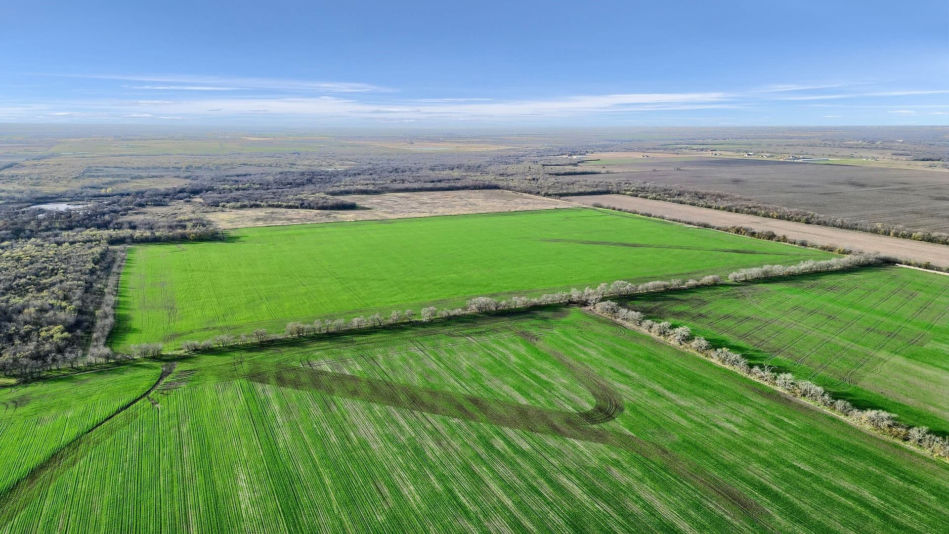 65 acres in Grayson County - photo 3