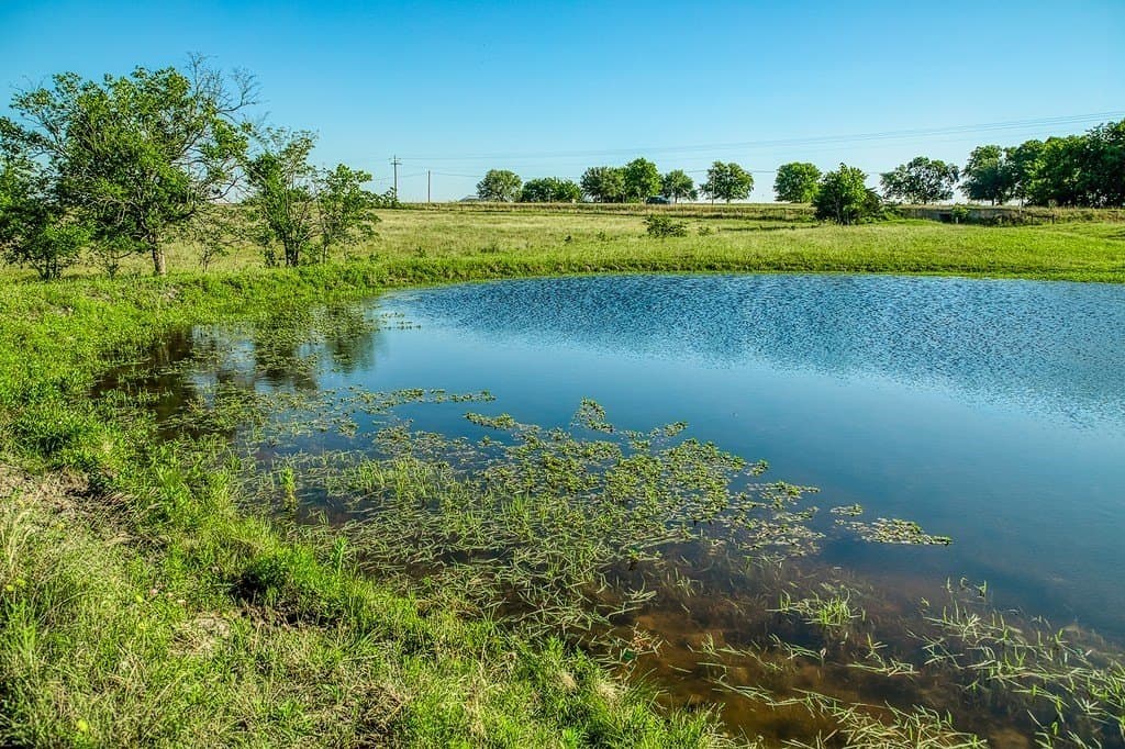 86.48 acres in Washington County gallery image 4