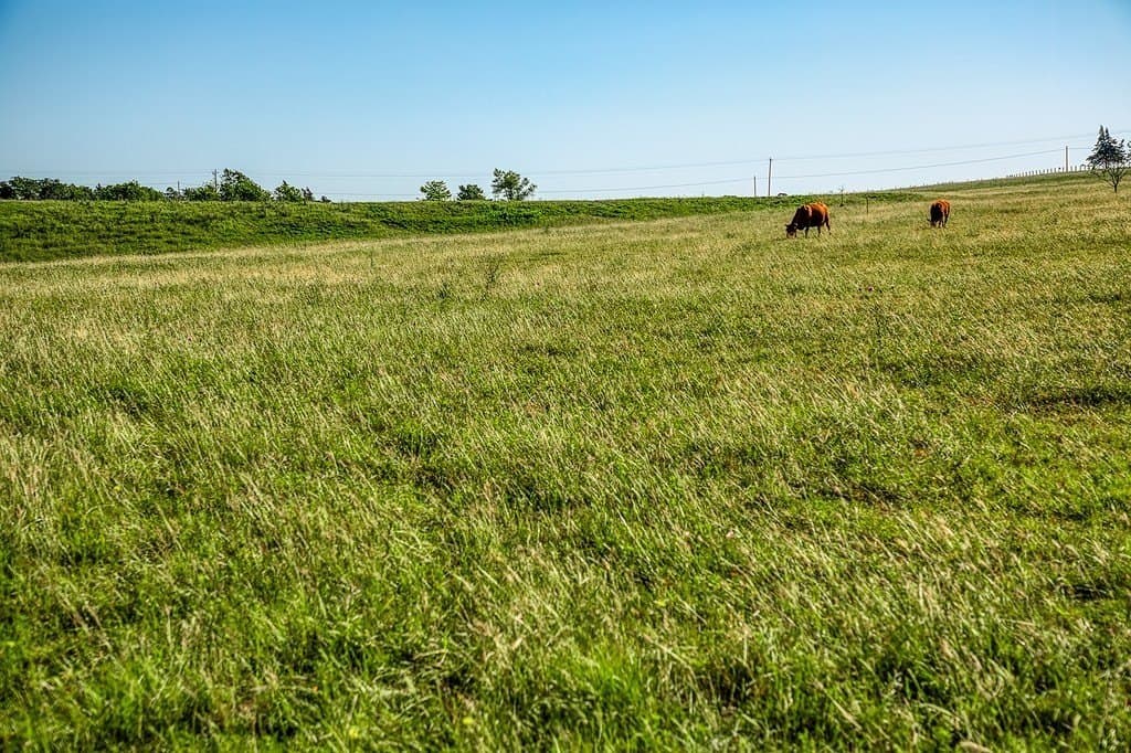 86.48 acres in Washington County featured view