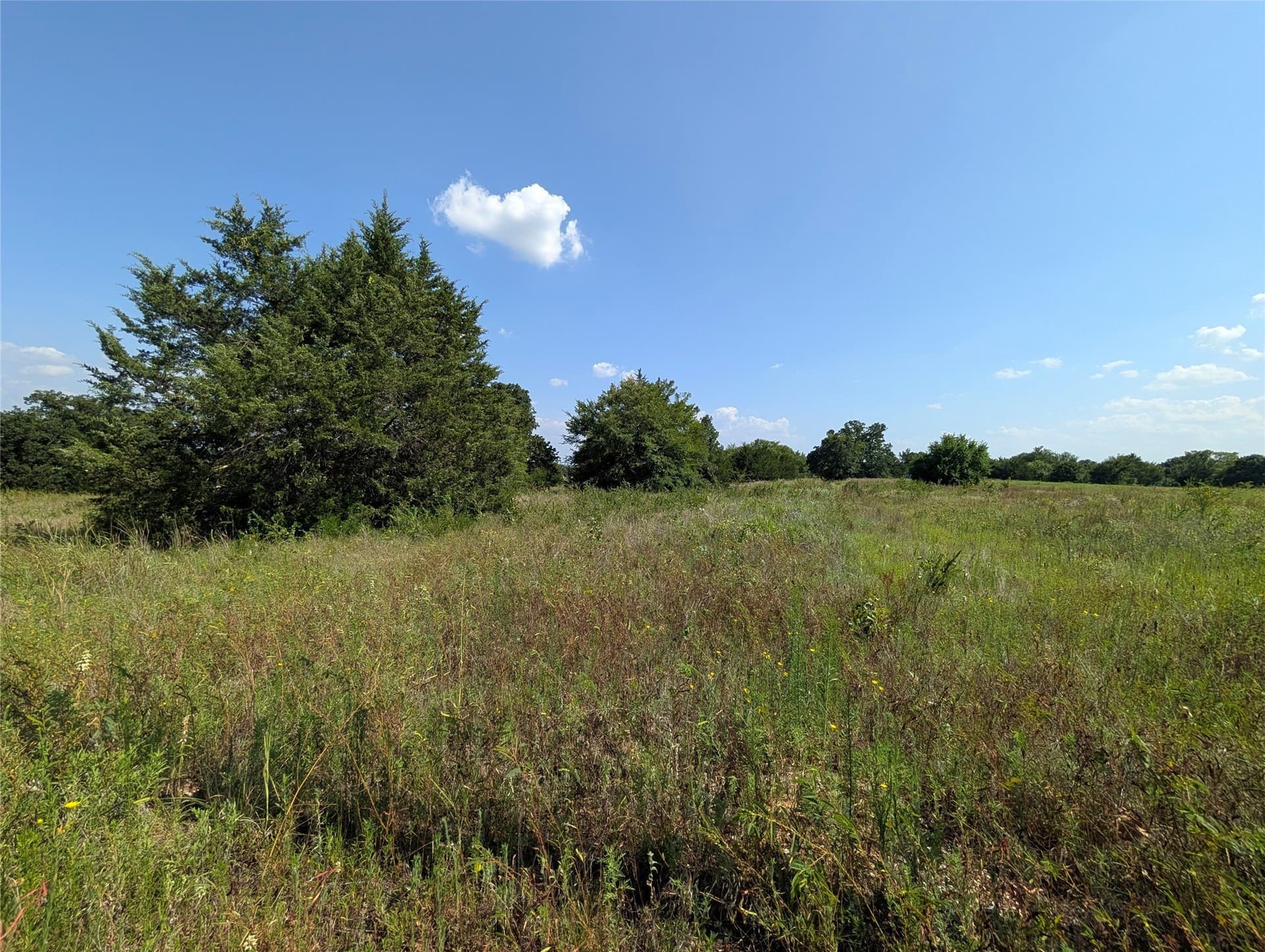 2.05 acres in Cooke County gallery image 4