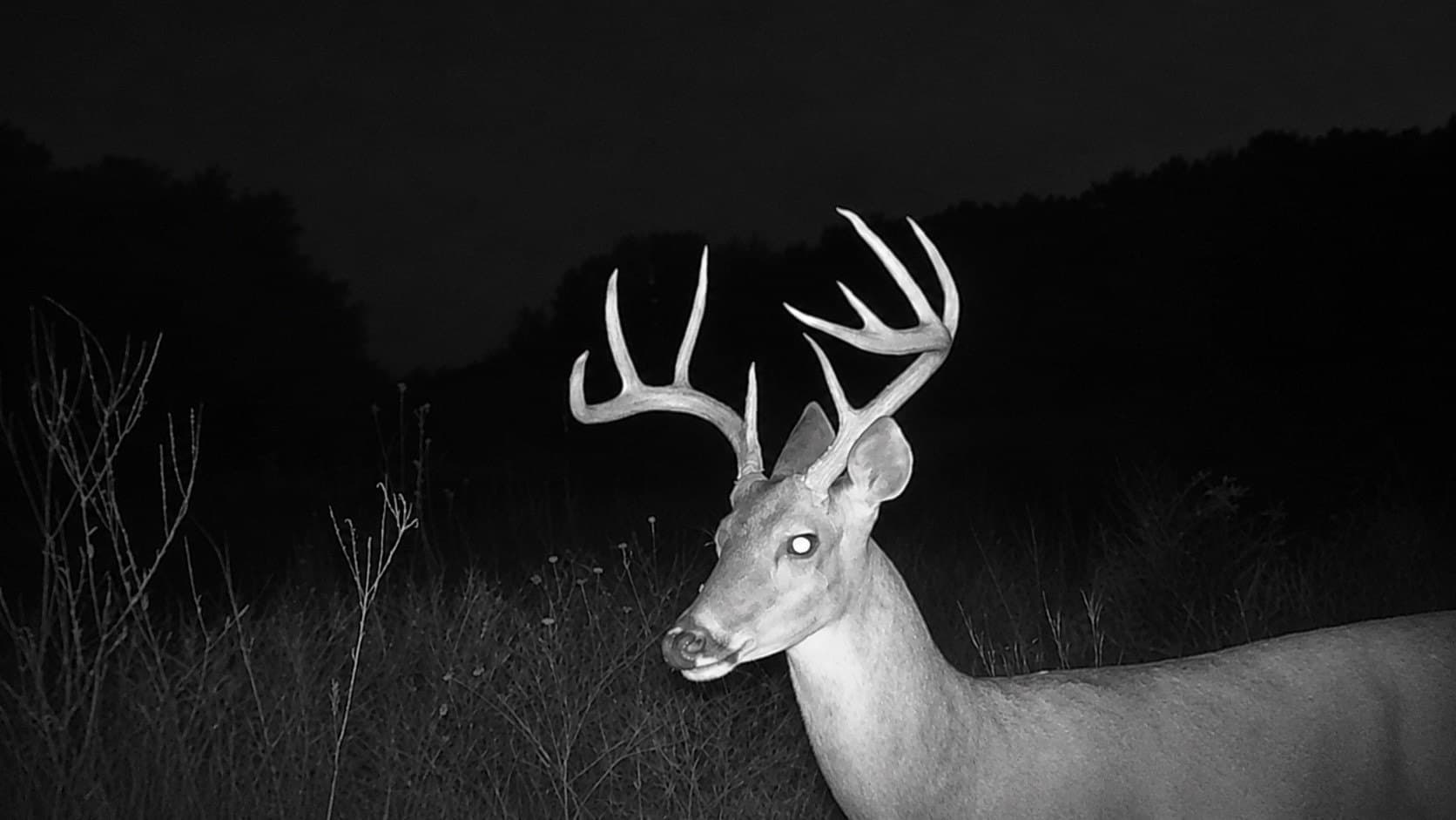 169.48 acres in Coleman County gallery image 4