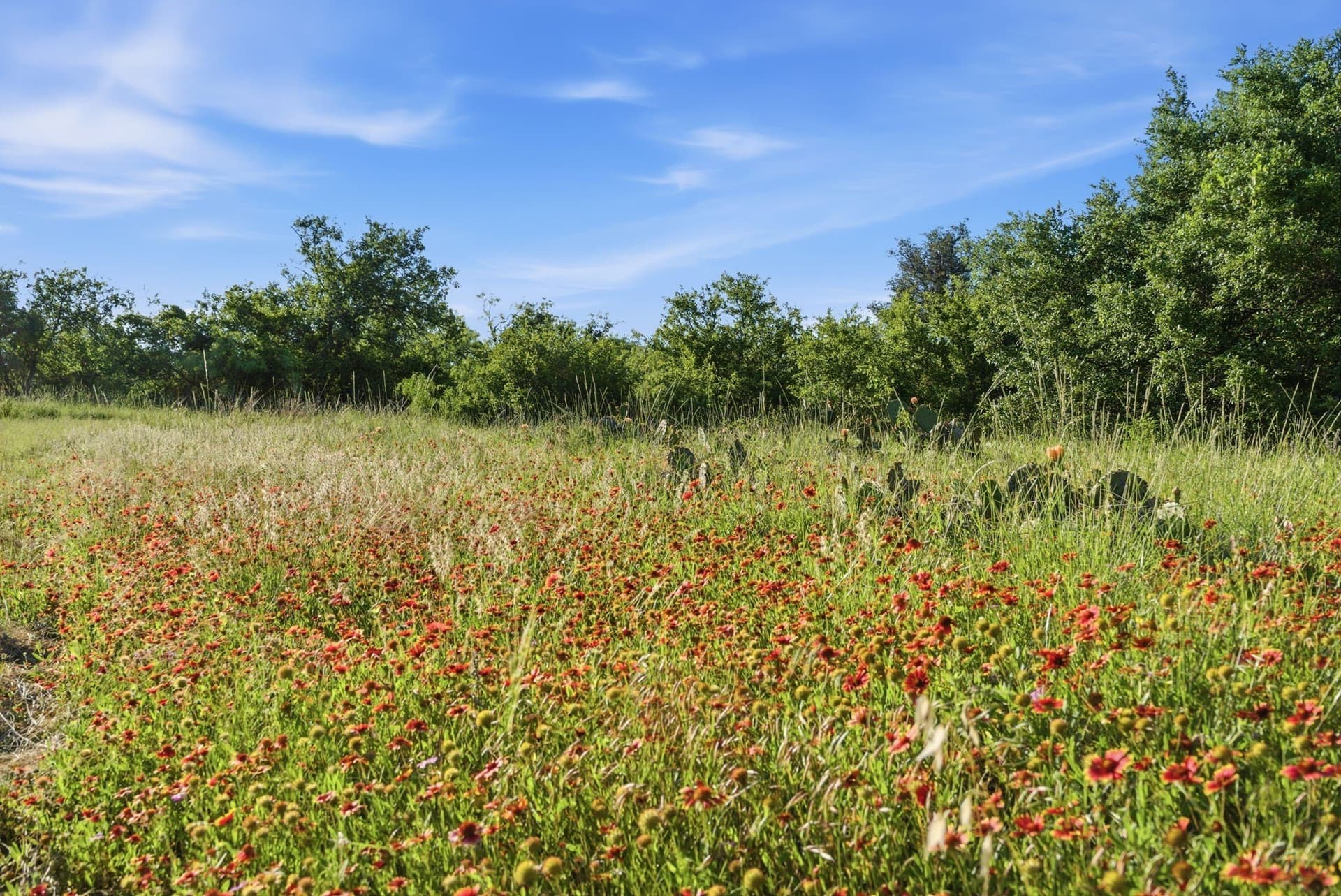 169.48 acres in Coleman County - photo 8