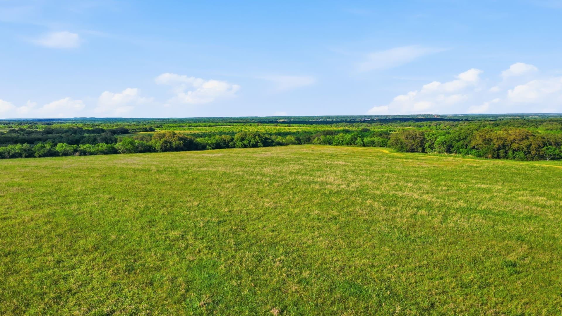 169.48 acres in Coleman County - photo 34
