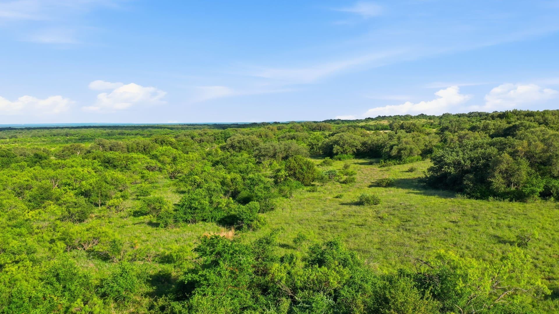 169.48 acres in Coleman County - photo 36