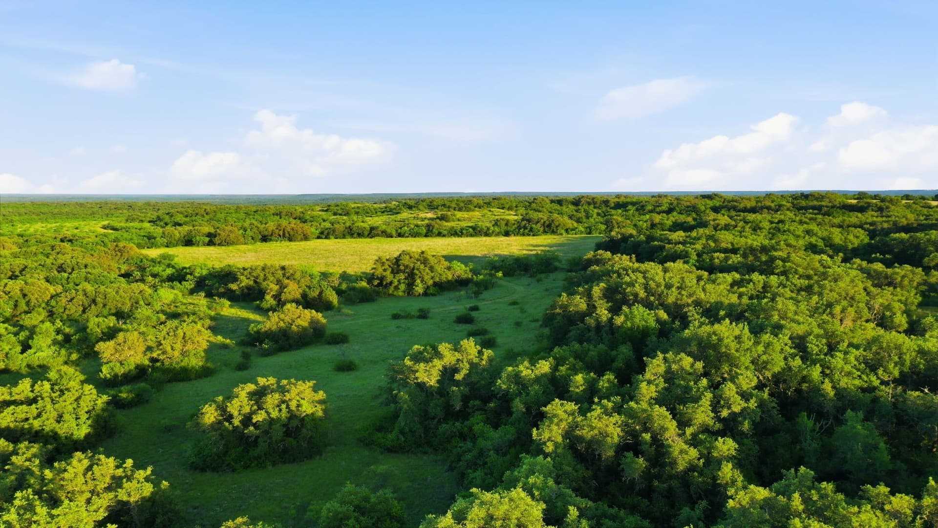 169.48 acres in Coleman County - photo 25