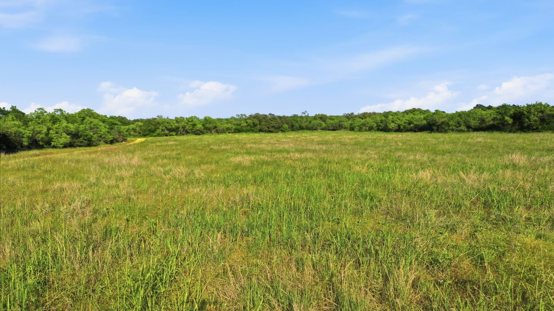 169.48 acres in Coleman County - photo 11