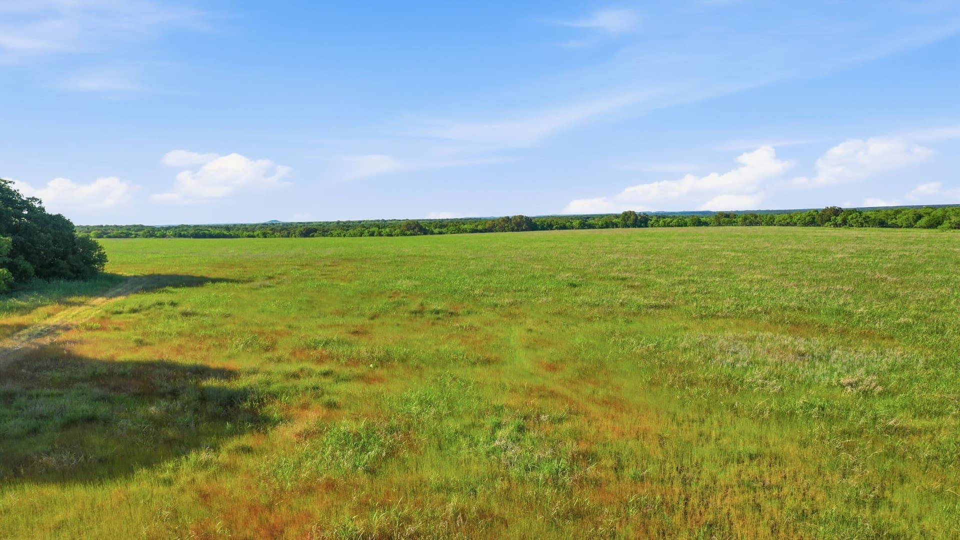 169.48 acres in Coleman County - photo 15