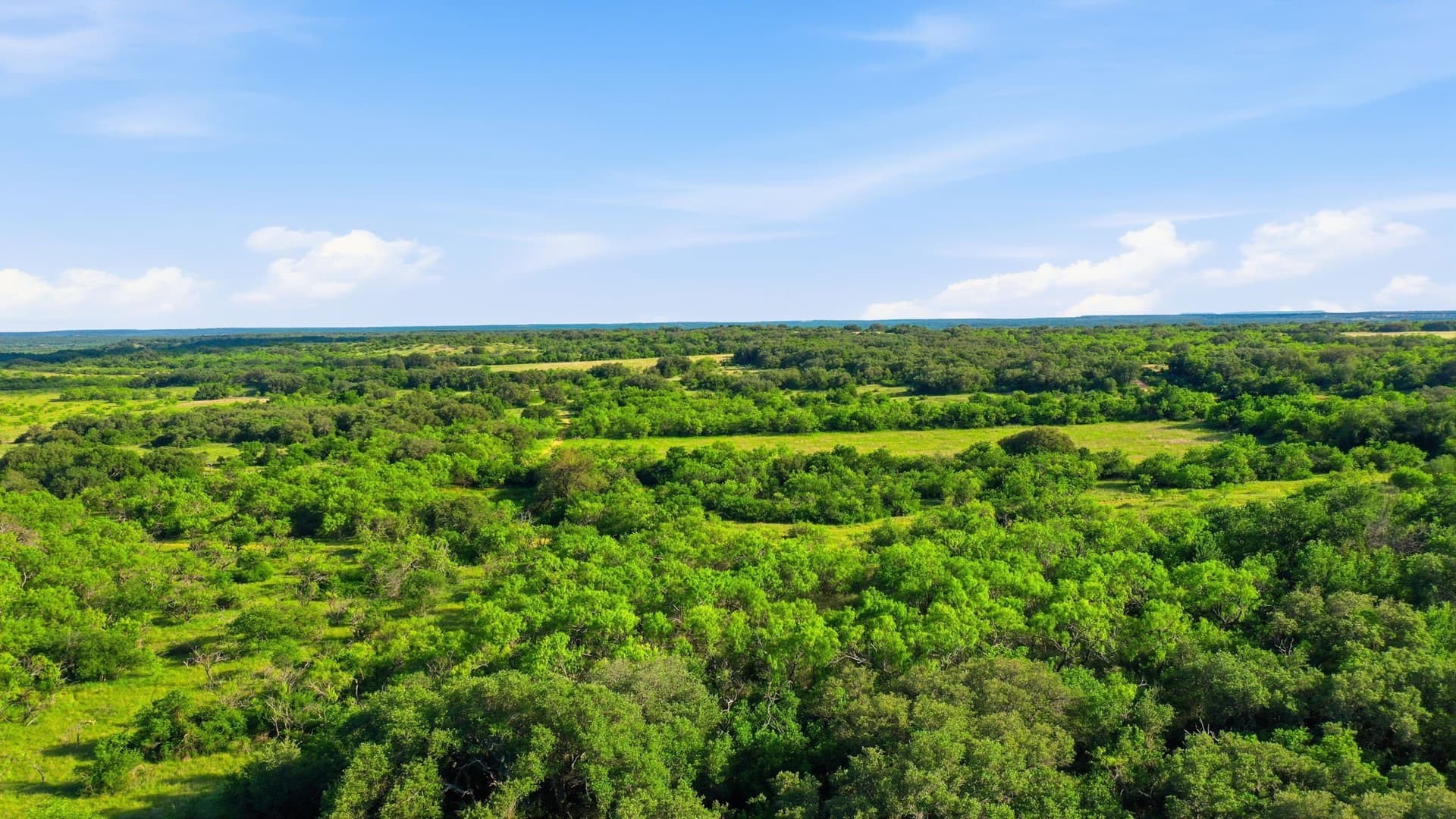 169.48 acres in Coleman County - photo 38