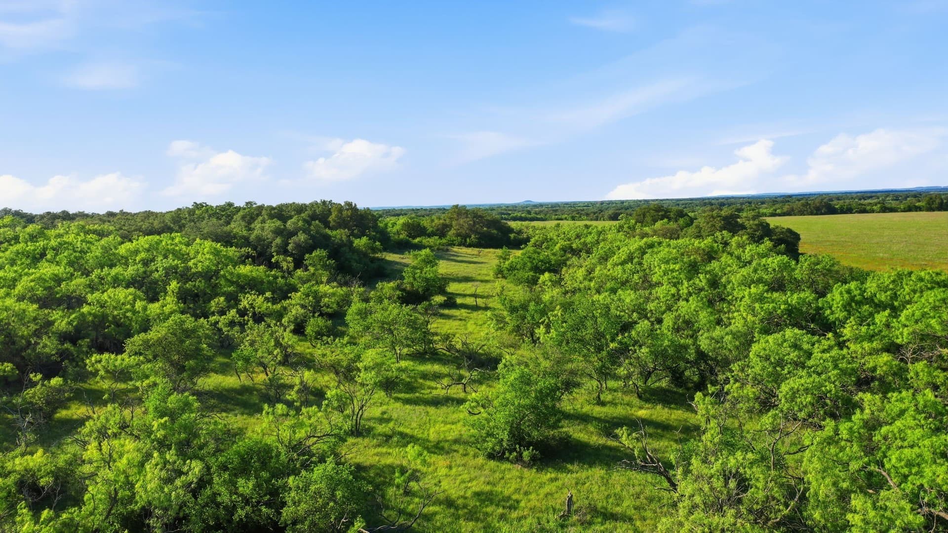 169.48 acres in Coleman County - photo 33