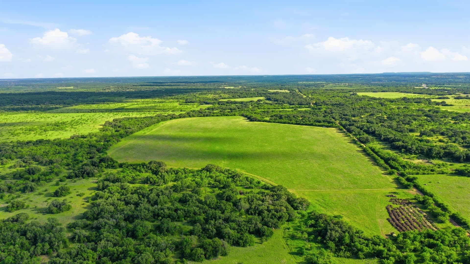 169.48 acres in Coleman County - photo 14